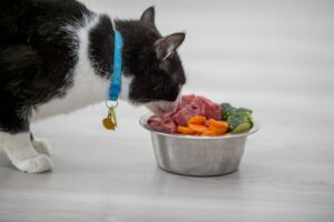 Как правильно перевести кошку с натуралки на корм?